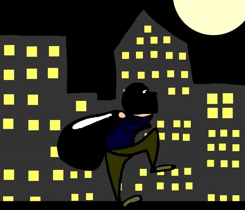 Crimes solved by video surveillance