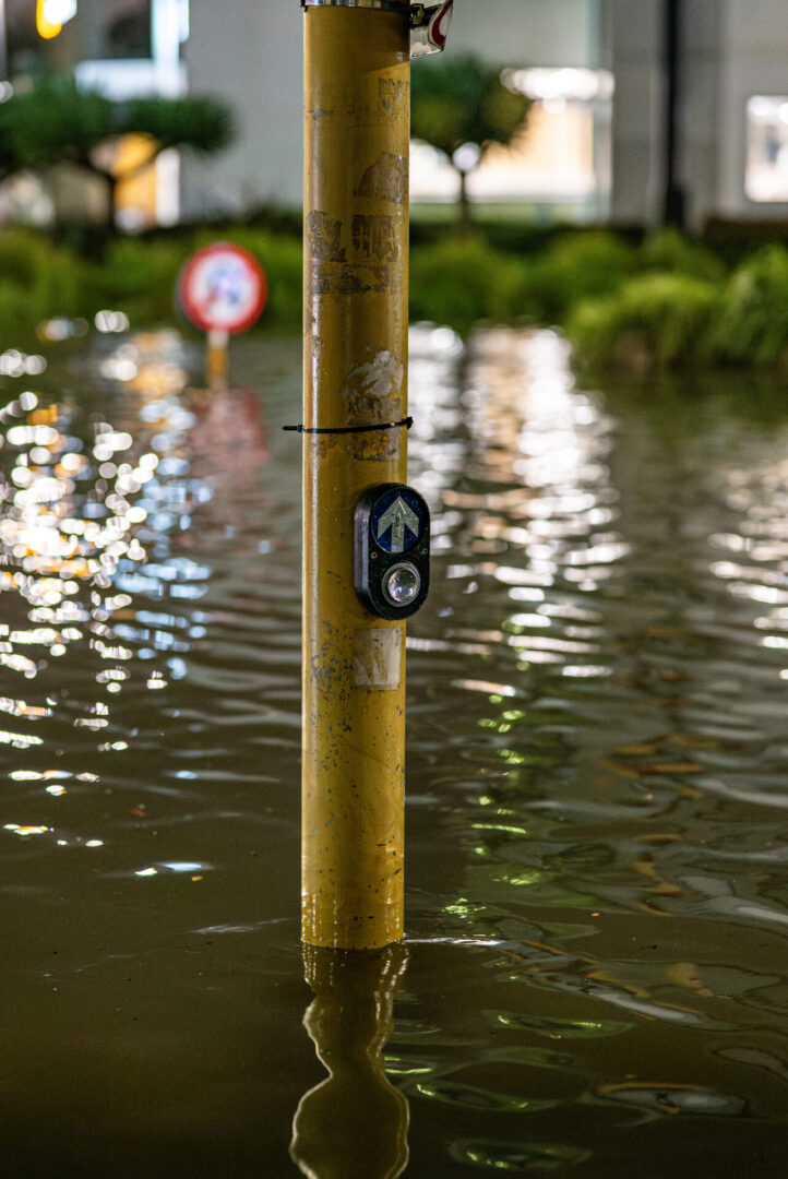 Waterlogged area around street signpost