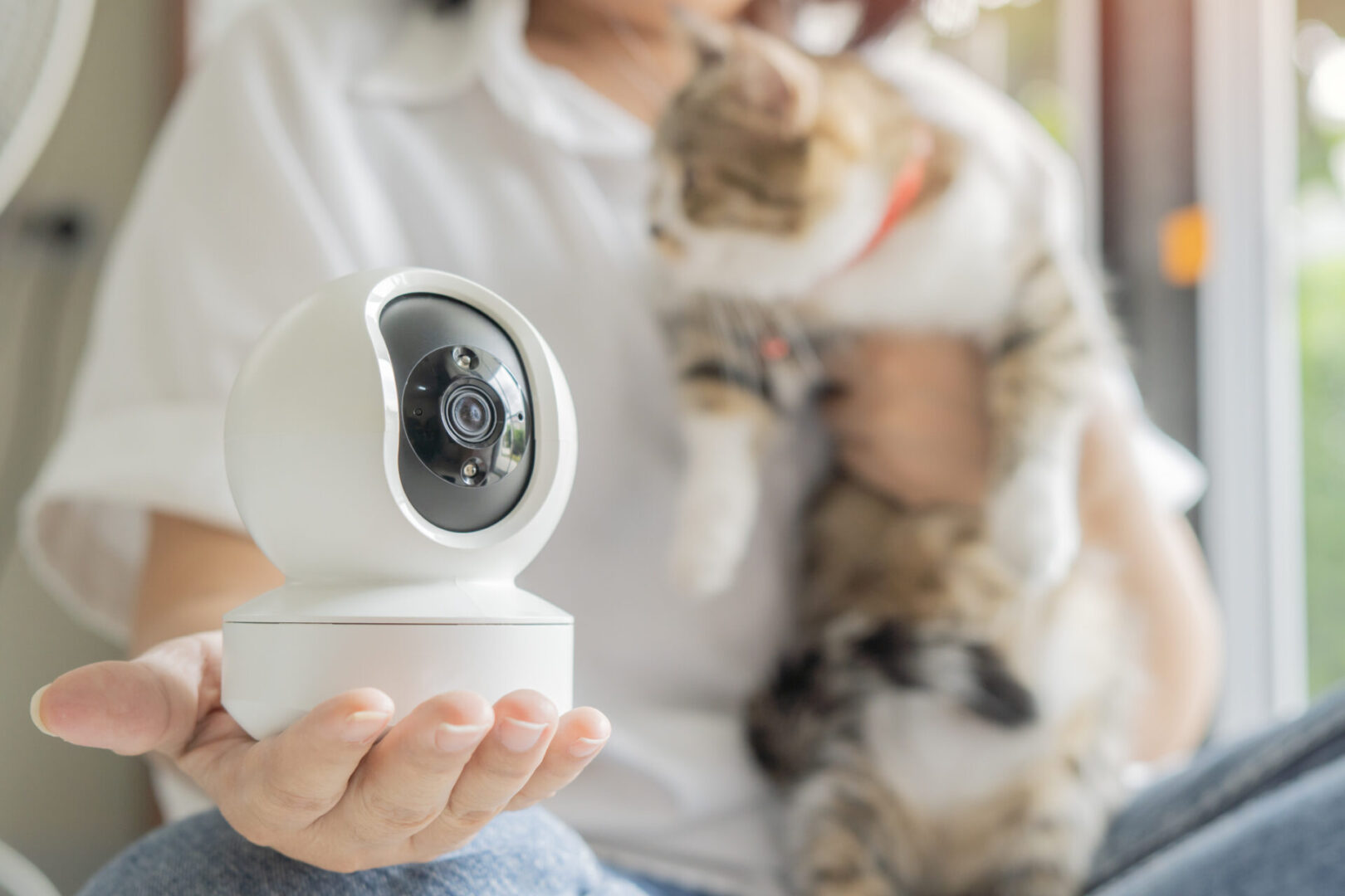 Home security camera with pet cat