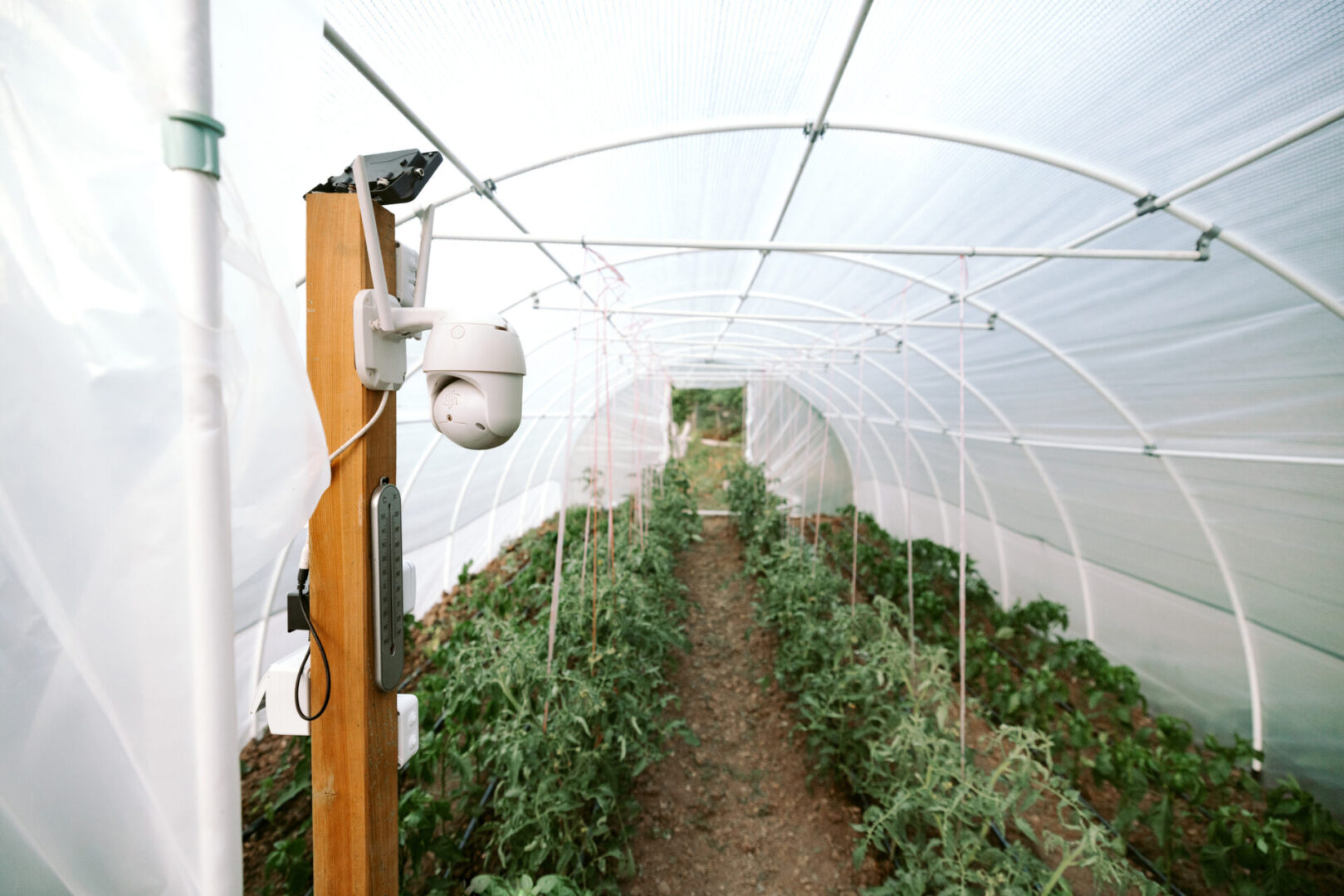 Modern greenhouse monitoring system