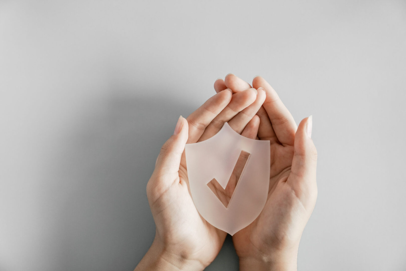 Hands gently holding a shield with a checkmark symbolizing protection and security.